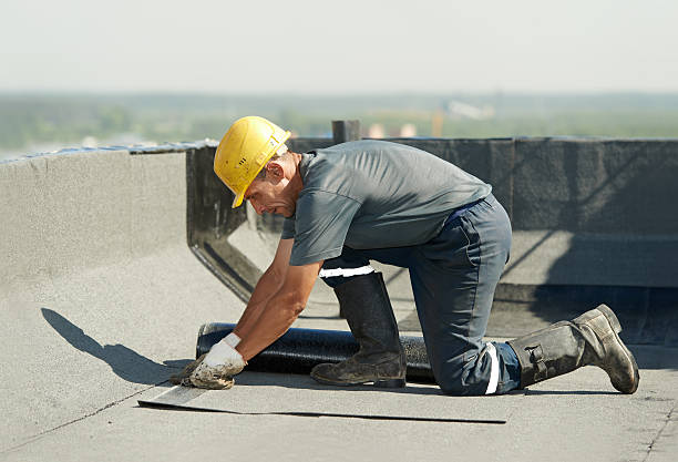 Best Cellulose Insulation in Vestavia Hills, AL